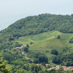 Pyrénées basques vignes AOP Irouléguy